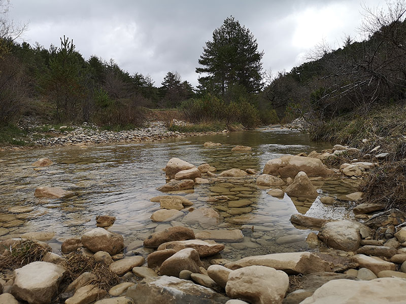 Siembre de temazcali
