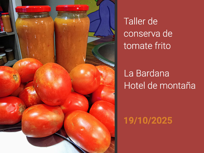 Taller de conserva de tomate frito
